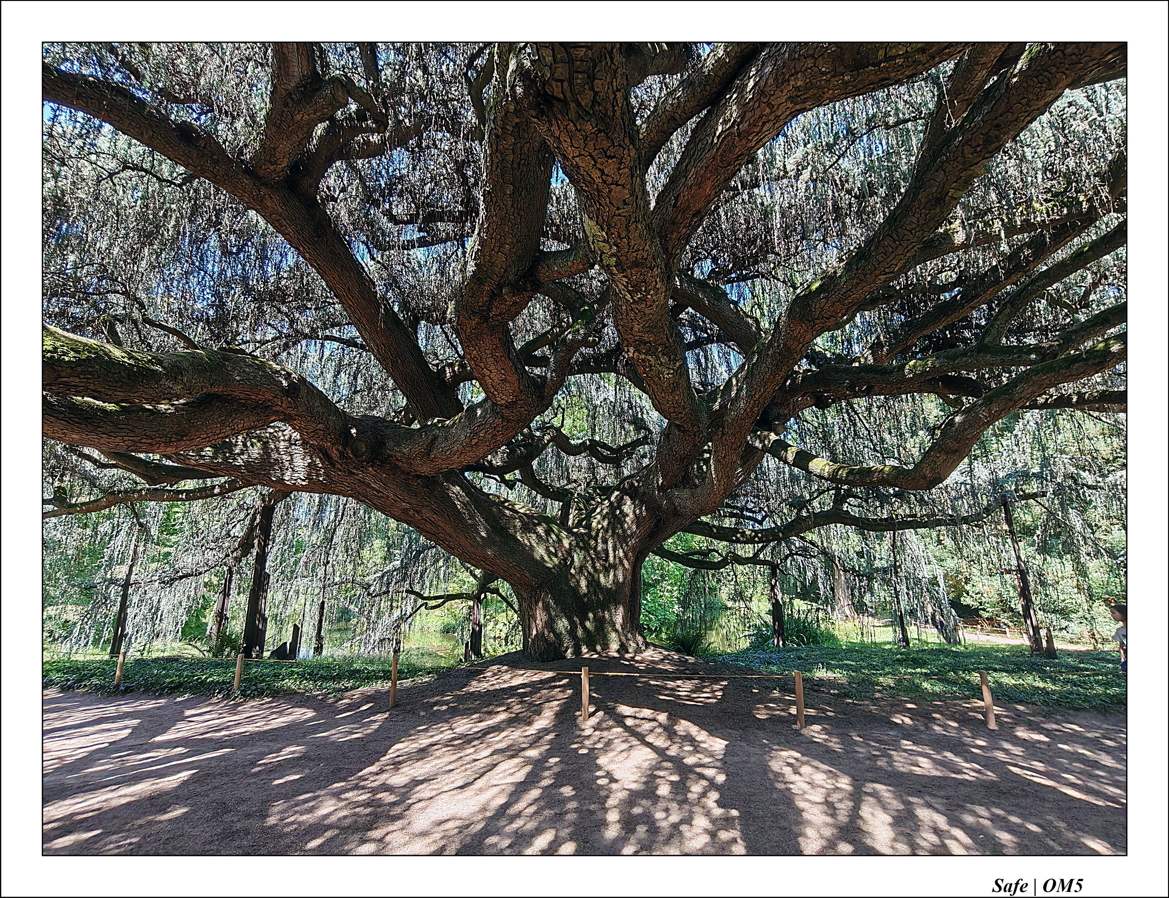 2025 - 08 - Vallée des loups - 27